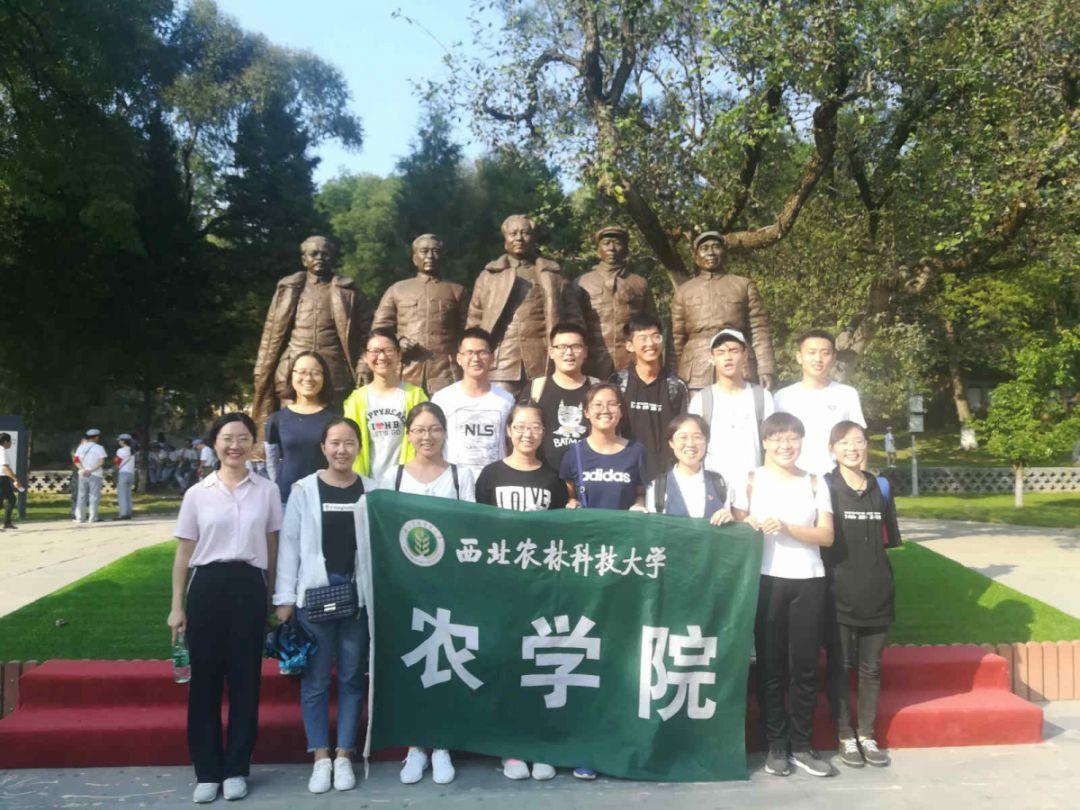 如果你成为了遭受校园霸凌的人，你会怎么办？游戏画面